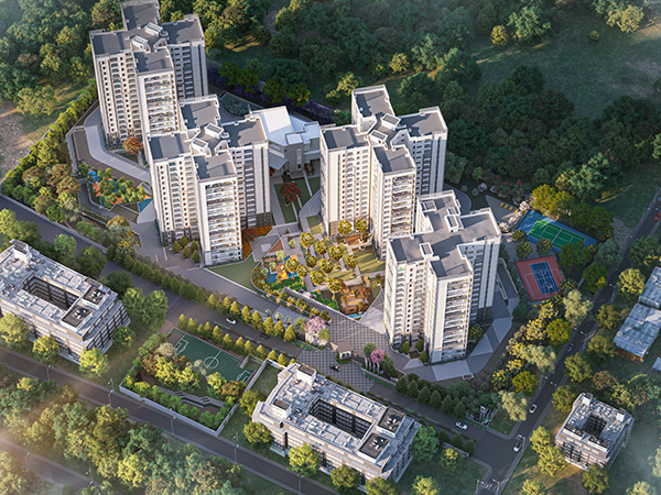 Prestige Pine Forest ariel view